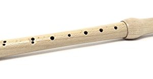 Recorder - childrens musical instrument