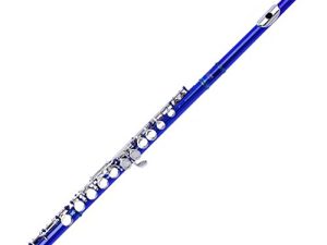 Yamaer C Flute Closed Hole 16-Key Flute for Beginner Kids Student Flute Instrument with a Carrying Case
