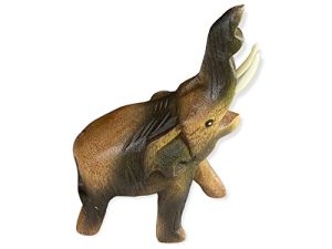 Guiros Percussion Instruments Wooden Animal