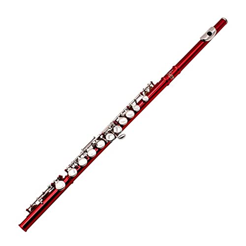 Yamaer C Flute Closed Hole 16-Key Flute for Beginner Kids Student Flute Instrument with a Carrying Case Yamaer C Flute Closed Hole 16-Key Flute for Beginner Kids Student Flute Instrument with a Carrying Case