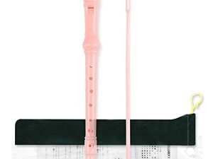 Mr.Power 8 Hole Soprano Recorder (Pink)