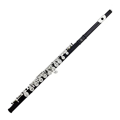 Yamaer C Flute Closed Hole 16-Key Flute for Beginner Kids Student Flute Instrument with a Carrying Case Yamaer C Flute Closed Hole 16-Key Flute for Beginner Kids Student Flute Instrument with a Carrying Case
