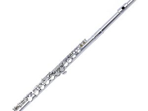 Yamaer C Flute Closed Hole 16-Key Flute for Beginner Kids Student Flute Instrument with a Carrying Case