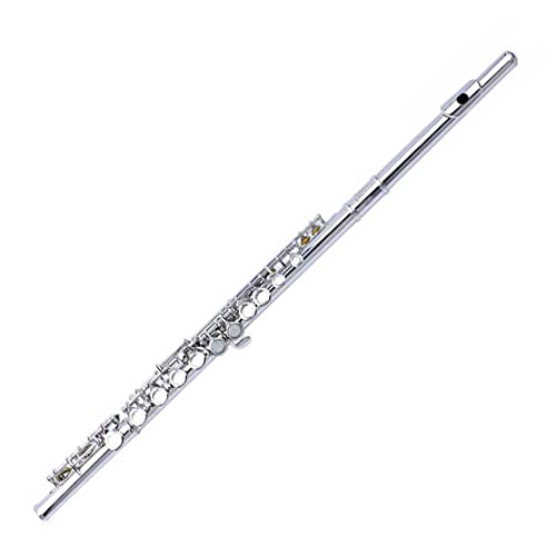 Yamaer C Flute Closed Hole 16-Key Flute for Beginner Kids Student Flute Instrument with a Carrying Case Yamaer C Flute Closed Hole 16-Key Flute for Beginner Kids Student Flute Instrument with a Carrying Case