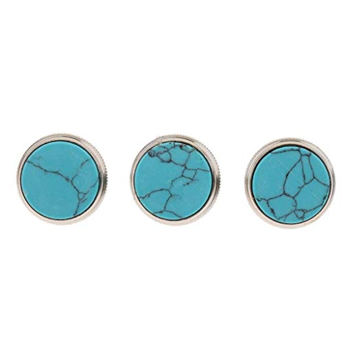 Liyafy 3Pcs Trumpet Valve Finger Buttons Musical Instruments Accessories Silver with Blue Turquoise Inlay Liyafy 3Pcs Trumpet Valve Finger Buttons Musical Instruments Accessories Silver with Blue Turquoise Inlay