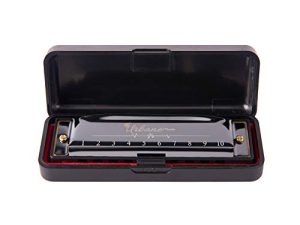 Harmonica 10 Holes 20 Tunes Mouth Organ Blues Deluxe Harmonica