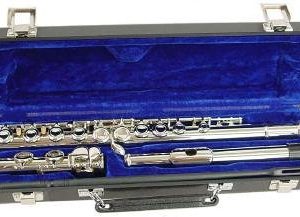 Hisonic Signature Series 2810N Closed 16-hole Flute