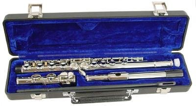 Hisonic Signature Series 2810N Closed 16-hole Flute Hisonic Signature Series 2810N Closed 16-hole Flute