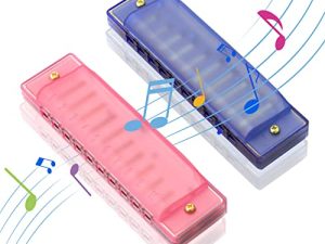Harmonica for Kids 10 Hole Kids Harmonica