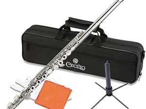 Cecilio Open Hole C Flute - Musical Instrument