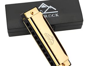 EastRock Blues Harmonica Mouth Organ 10 Hole C Key with Case