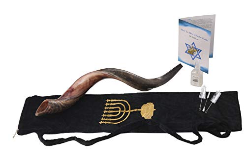 Yaliland Shofar Horn Musical Instrument - Kosher Kudu Ram Horns from Israel - Includes Bag Yaliland Shofar Horn Musical Instrument - Kosher Kudu Ram Horns from Israel - Includes Bag