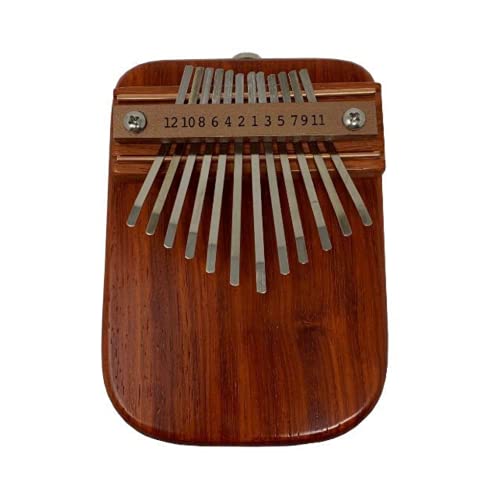 Mountain Melodies Amp-Ready African Padauk 12 Key Thumb Piano Kalimba USA Made Musical Instrument Mountain Melodies Amp-Ready African Padauk 12 Key Thumb Piano Kalimba USA Made Musical Instrument