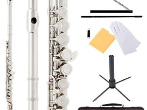 Mendini by Cecilio Premium Grade Silver Closed Hole C Flute with Stand