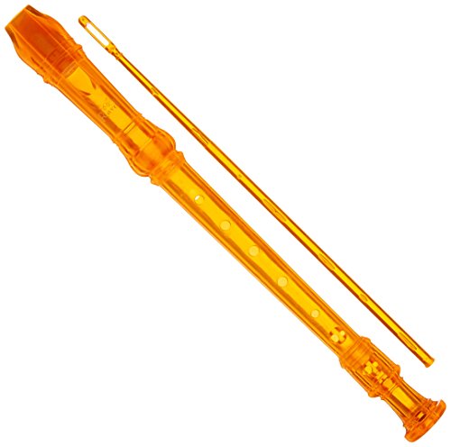 Ravel Recorder Ravel Recorder