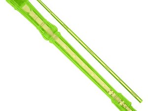 Ravel Recorder