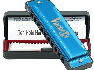 VACHAN Blues Harmonica Mouth Organ 10 Holes 20 Tones C Key Beginner Harmonica with Case for Kids