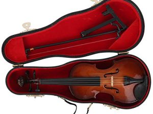 Musical Instrument Model