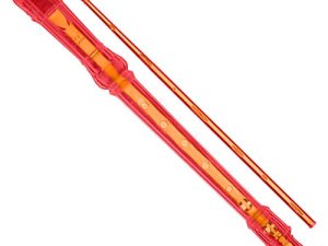 Ravel Recorder