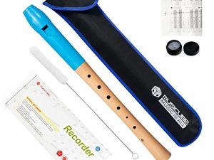 MUSICUBE Soprano Recorder Instrument German Fingering Single Hole Recorder With Cleaning Rod Musical Instrument for Beginner Kids Adults 2-Pieces Recorder kit
