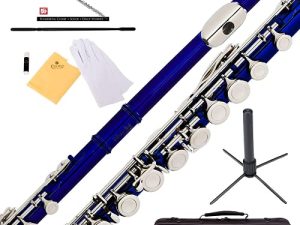 Mendini By Cecilio Flutes - Closed Hole C Flute For Beginners