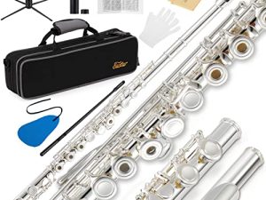 Eastar C Flutes Open Hole 16 Keys Flute for Beginner Kids Student Flute Instrument with Fingering Chart