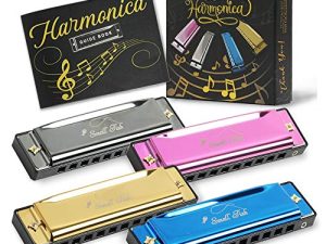 Harmonica Set for Kids and Adults