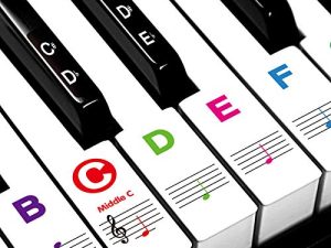 Piano Stickers for Beginners 88/76/61/54/49/37 Keys - Transparent