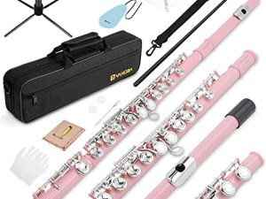Vangoa Closed Hole C Flute for Beginners Kids Student 16 Keys Flute Instrument Nickel Plated Flute with Case