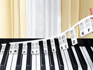 AOYNG Piano Keyboard Note Labels [with Storage Box] Removable Piano Notes Guide for Beginner for Learning