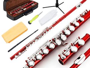 EastRock Closed Hole Flutes C 16 Key for Beginner