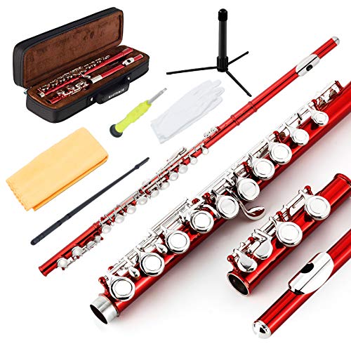 EastRock Closed Hole Flutes C 16 Key for Beginner EastRock Closed Hole Flutes C 16 Key for Beginner