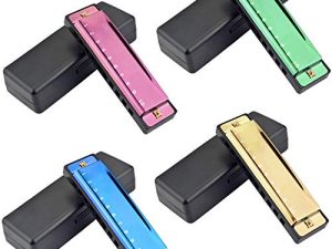 4PCS Key of C 10 Hole 10 Tones Titanium Color Harmonica with Case for Beginner Students Kids(Gold