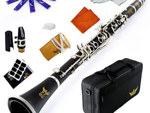ROFFEE clarinet beginner student level 26N B flat ABS nickel plated 17 keys Bb tone with 2 berrels