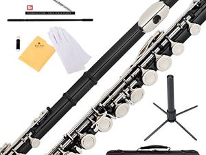 Mendini By Cecilio Flutes - Closed Hole C Flute For Beginners