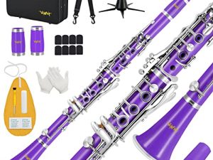 VANPHY Bb Clarinet for Student Beginner