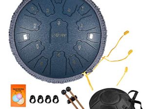 AETOO Steel tongue drum 14 inchs 15 notes D major Percussion instrument Kit Carry bag with Music book for Concert