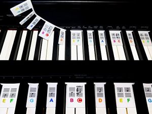 Misopily Removable Piano Keyboard Note Labels
