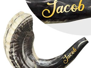 HalleluYAH Customized Shofar From Israel – Authentic Odorless Curved Ram Horn 14" - 16" – Traditional Ancient Musical Instrument - Inscribed with Name - Made In Israel