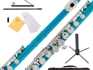 Mendini By Cecilio Flutes - Closed Hole C Flute For Beginners