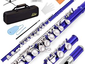 Eastar C Flutes Closed Hole 16 Keys Flute for Beginner Kids Student Flute Instrument with Fingering Chart
