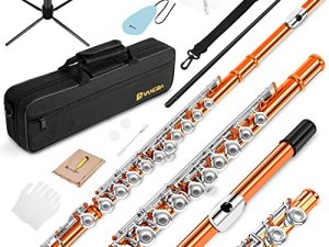 Vangoa Closed Hole C Flute for Beginners Kids Student 16 Keys Flute Instrument Nickel Plated Flute with Case
