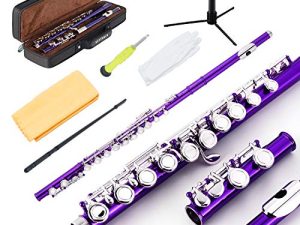 EASTROCK Closed Hole Flutes C 16 Key for Beginner