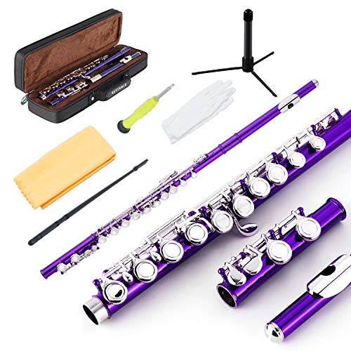 EASTROCK Closed Hole Flutes C 16 Key for Beginner EASTROCK Closed Hole Flutes C 16 Key for Beginner