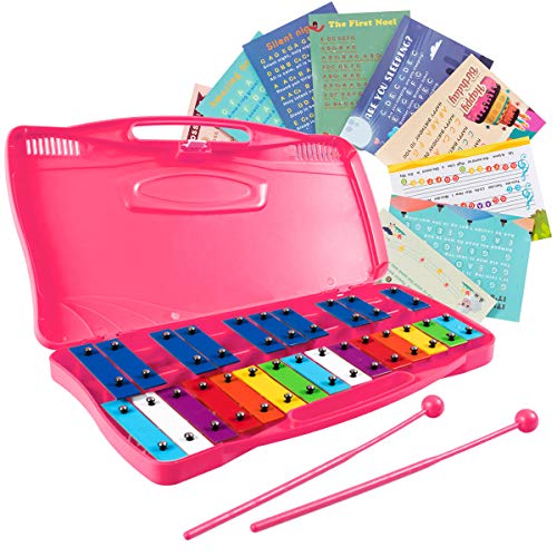 Costzon 25-Note Xylophone w/Case Costzon 25-Note Xylophone w/Case