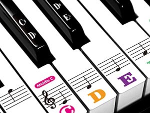 Piano Stickers for Beginners 88/76/61/54/49/37 Keys - Transparent