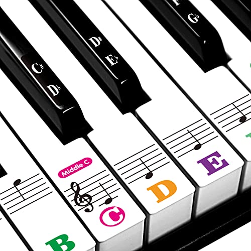 Piano Stickers for Beginners 88/76/61/54/49/37 Keys - Transparent Piano Stickers for Beginners 88/76/61/54/49/37 Keys - Transparent