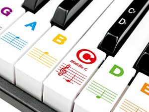 Piano Stickers for Beginners 88/76/61/54/49/37 Keys - Transparent