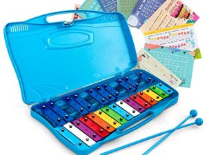 Costzon 25-Note Xylophone w/Case